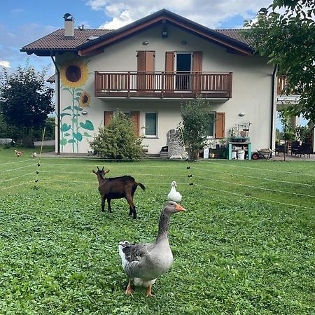 Agriturismo Girasole Fai della Paganella Exteriér fotografie